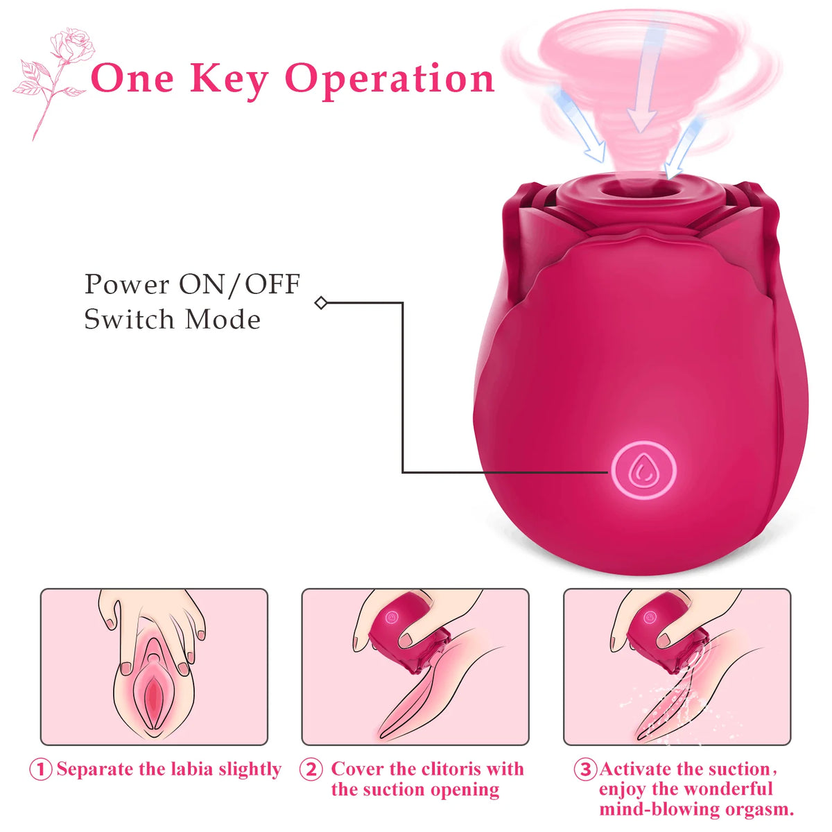 how to use The Rose by RoseToy