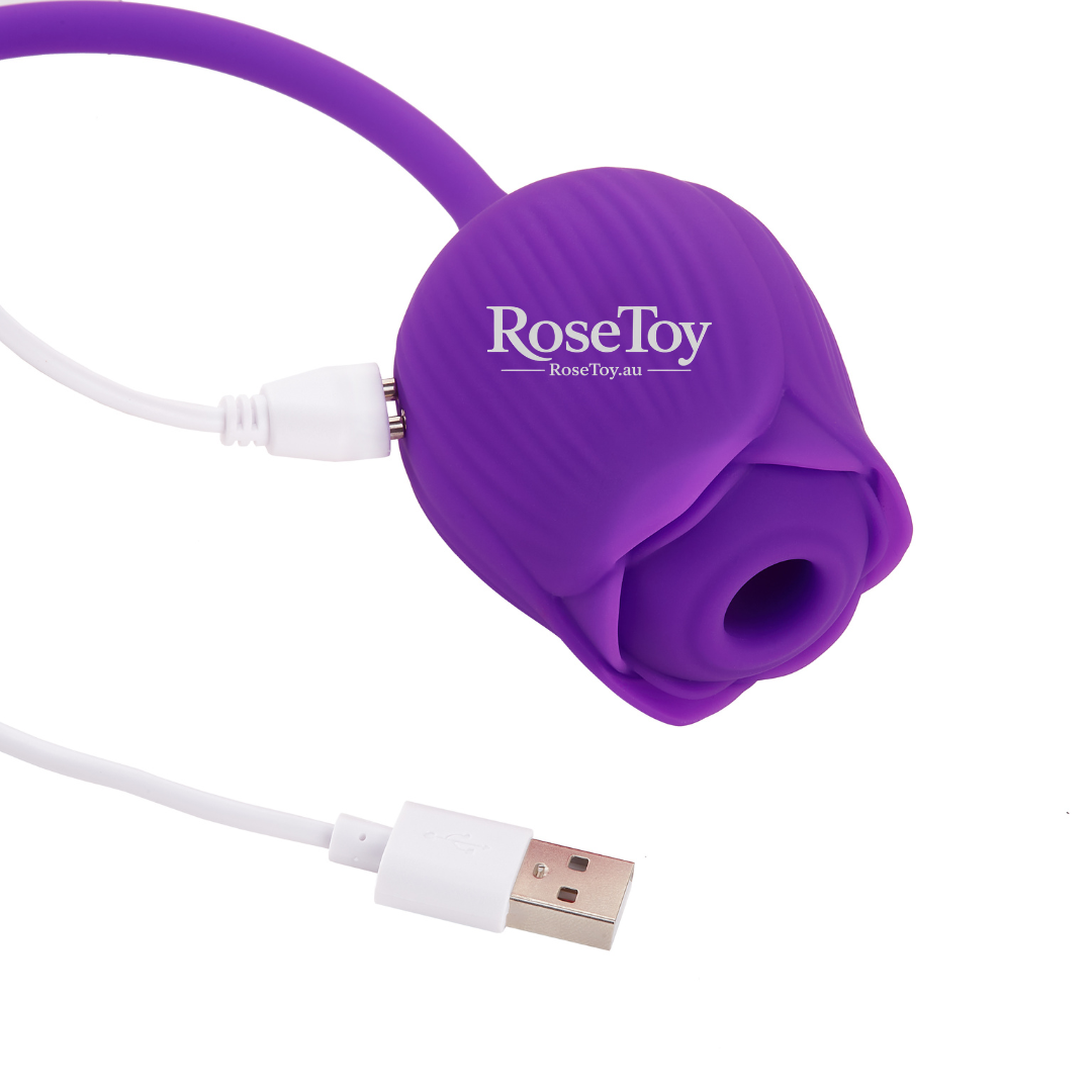 Rose Dildo usb charging