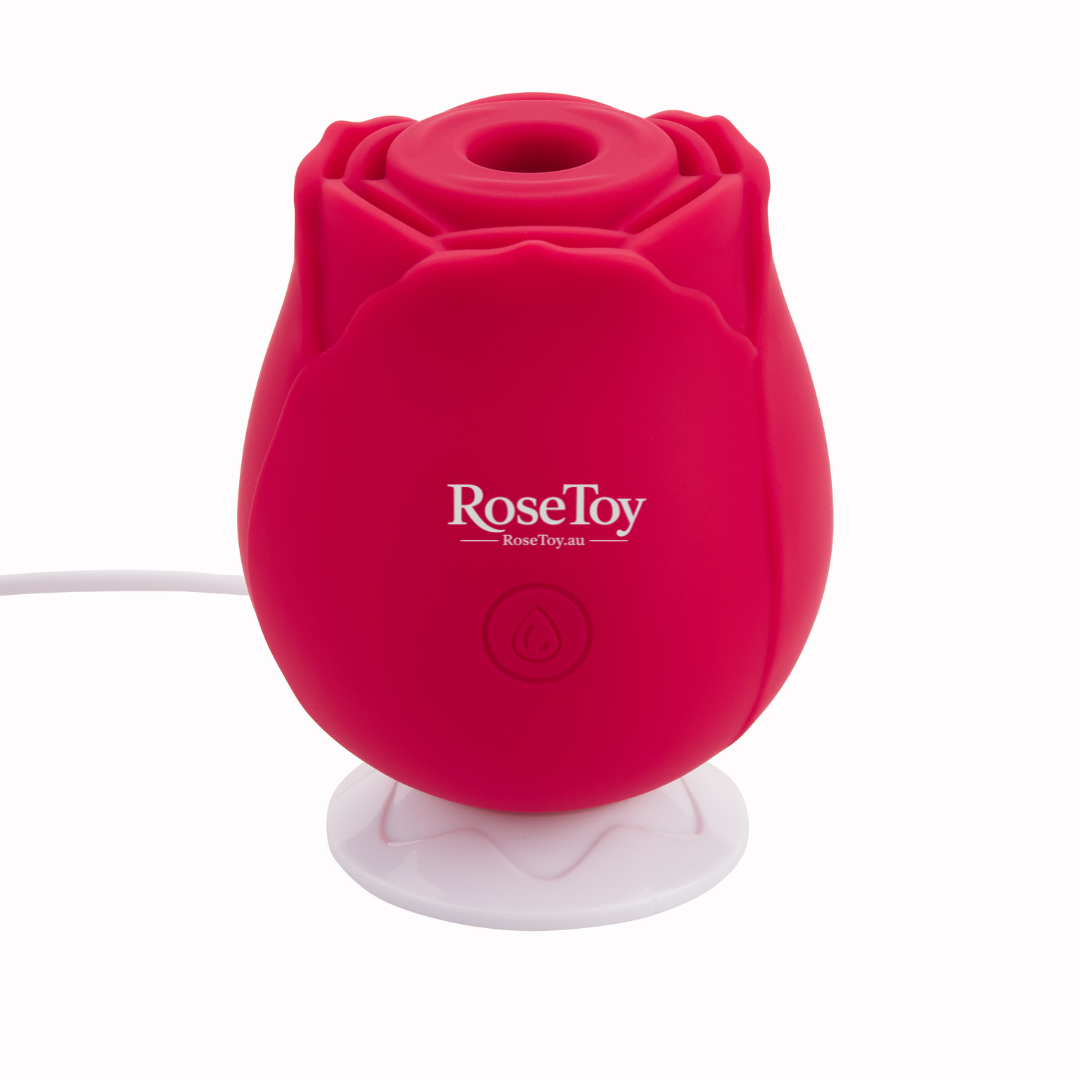 The Rose original rose vibrator on magnetic USB charger